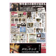新聞記事 12段