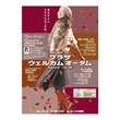 Poster B1 autumn