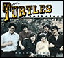 Turtles