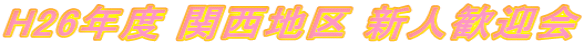 H26新歓