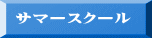 サマースクール
