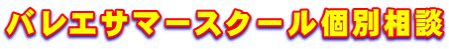 バレエサマースクール個別相談