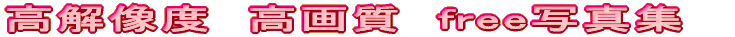 ���𑜓x�@���掿�@free�ʐ^�W�@nagoyacastle