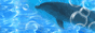 �o�i�[