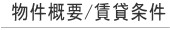 Tv/ݏ