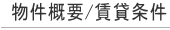 Tv/ݏ