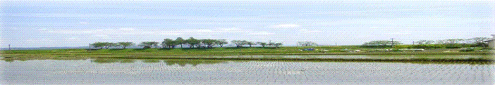 image004.gif