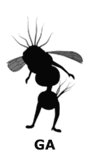 GA