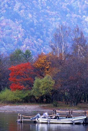 fall_05