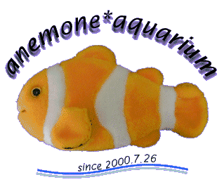 ^CgS anemone*aquarium