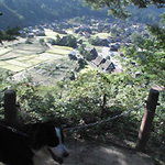 炵͂悩