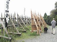 炢