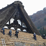 5l̐lオĂ