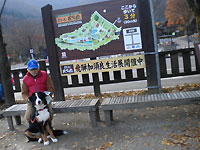 Ԃ肩̂D