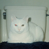 gCJo[D񂾂Ǝv