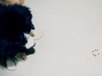 ́uXg[wWv