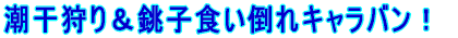 聕qH|LoI 