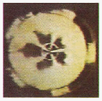 wpe7.jpg (7416 バイト)