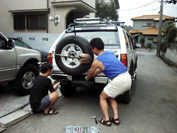 bumper1.gif (68390 oCg)