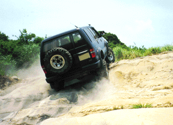 F2-4.gif (51515 oCg)