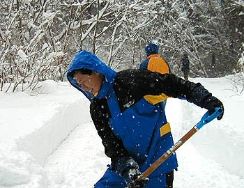 200002-10.jpg (42872 バイト)
