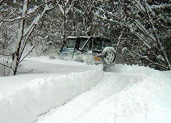 200002-9.jpg (38278 バイト)