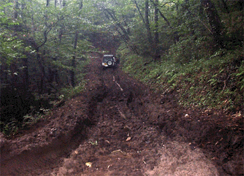 8.gif (79270 oCg)