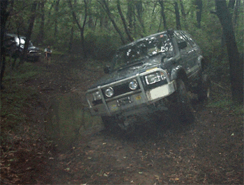 5.gif (76036 oCg)