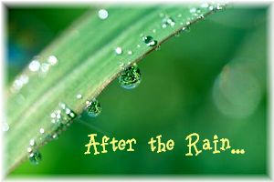 雨のち晴れ