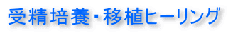 受精培養・移植ヒーリング