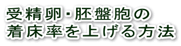 受精卵・胚盤胞移植の着床率を上げる方法