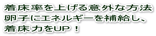 胚盤胞移植・着床率を上げる方法、卵子にエネルギーを補給し、着床力をUP