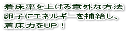 胚盤胞移植・着床率を上げる方法、卵子にエネルギーを補給し、着床力をUP