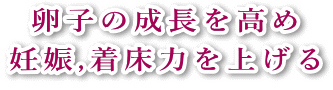 卵子の成長を高め、妊娠、着床力を上げます