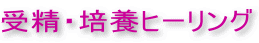 受精・培養ヒーリング
