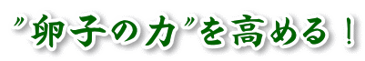 卵子の力を高める