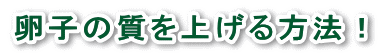 卵子の質を上げる方法