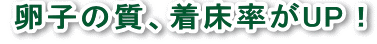 卵子の質、着床率が上がる