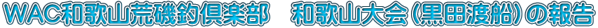 WACa̎Rrދy@a̎RicnDj̕