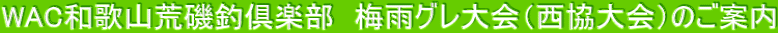 WACa̎Rrދy@~JOiĵē