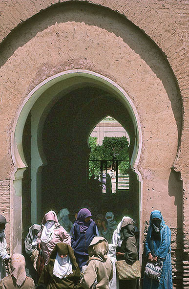 �N�g�D�r�[��