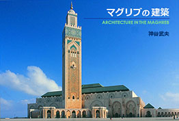 �}�O���u�̌��z