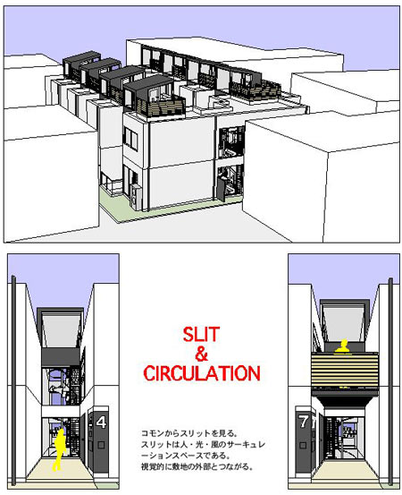11-seijou2007