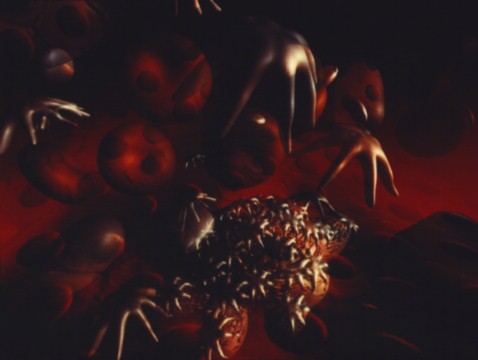 hematoblast