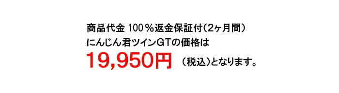 Pbgp[ɂ񂶂NcCfsi