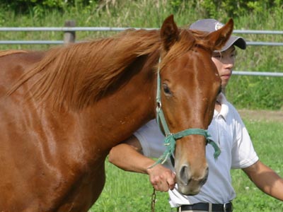 �L���E���v�e�B�b�g2002