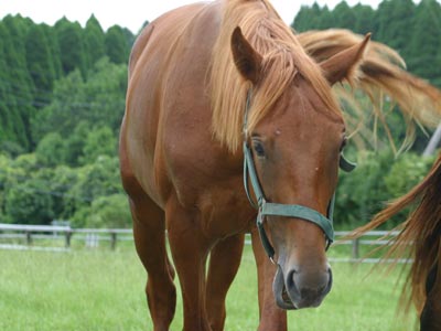 �L���E���v�e�B�b�g2002