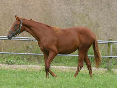 �L���E���v�e�B�b�g2002