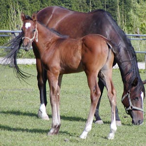 �N�B�[���w�C���[�e�q