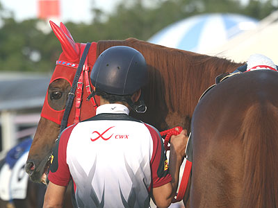 �h���[���z�}��